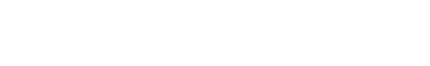 dswlogo_white_notag.png